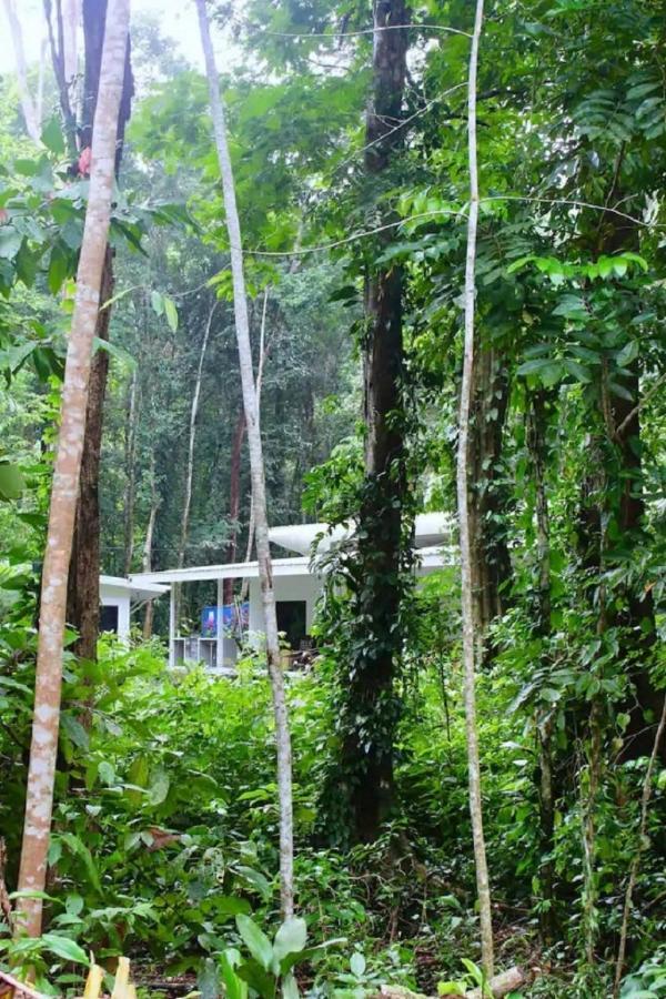 Casa Eden - Modern Peaceful Jungle Apartments Cocles Dış mekan fotoğraf