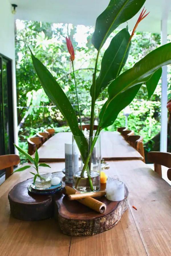 Casa Eden - Modern Peaceful Jungle Apartments Cocles Dış mekan fotoğraf