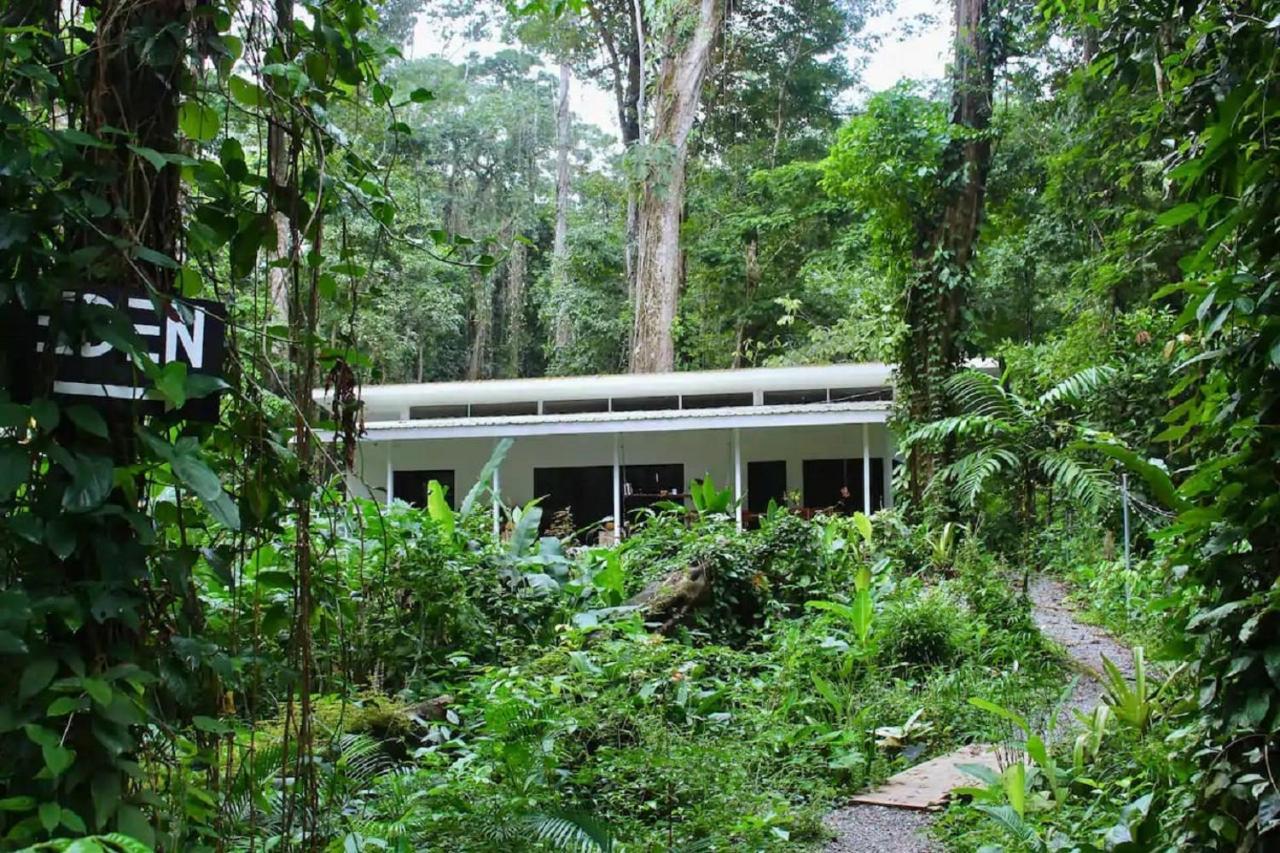 Casa Eden - Modern Peaceful Jungle Apartments Cocles Dış mekan fotoğraf