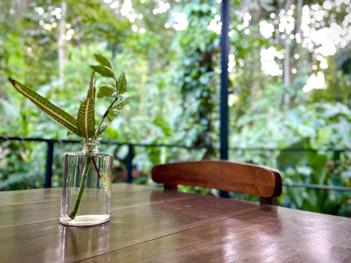 Casa Eden - Modern Peaceful Jungle Apartments Cocles Dış mekan fotoğraf
