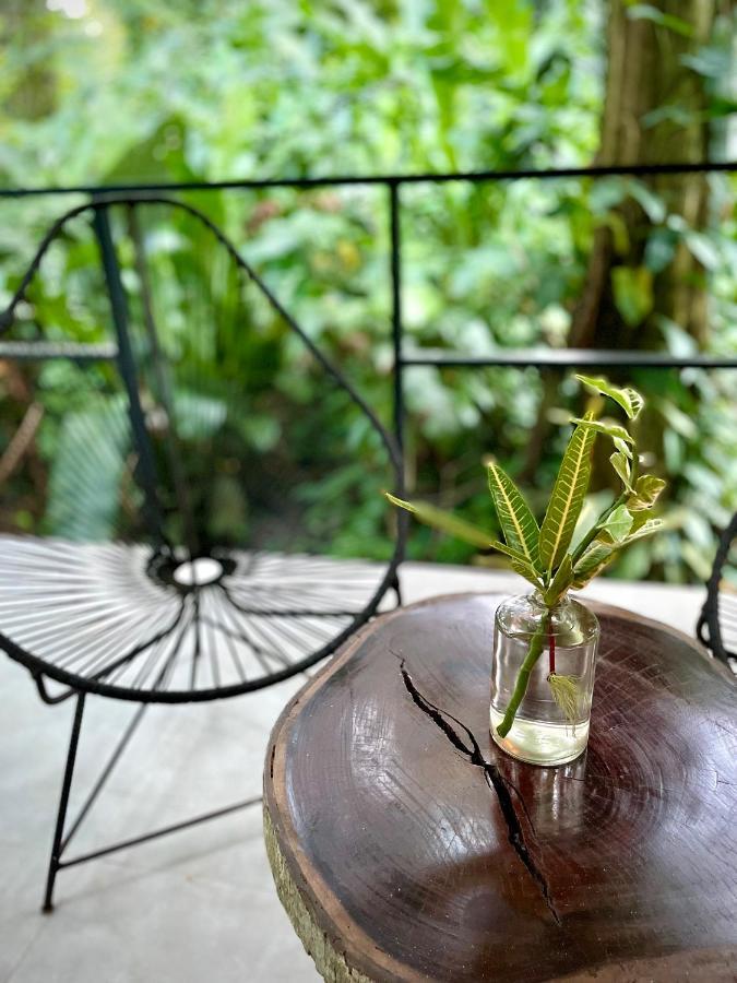 Casa Eden - Modern Peaceful Jungle Apartments Cocles Dış mekan fotoğraf