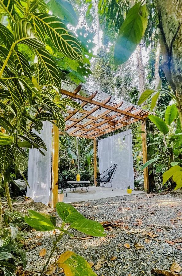Casa Eden - Modern Peaceful Jungle Apartments Cocles Dış mekan fotoğraf