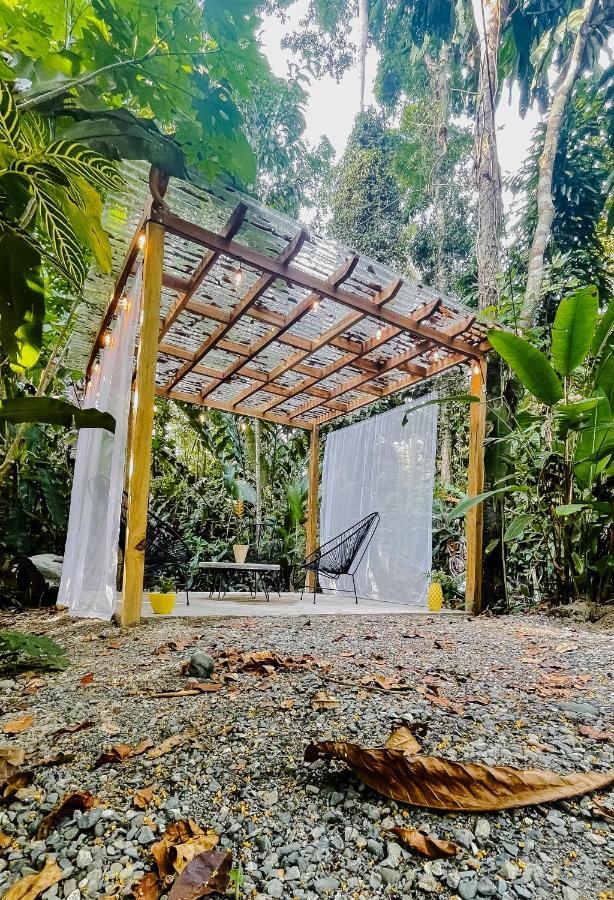 Casa Eden - Modern Peaceful Jungle Apartments Cocles Dış mekan fotoğraf