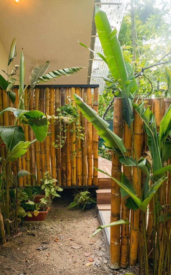 Casa Eden - Modern Peaceful Jungle Apartments Cocles Dış mekan fotoğraf