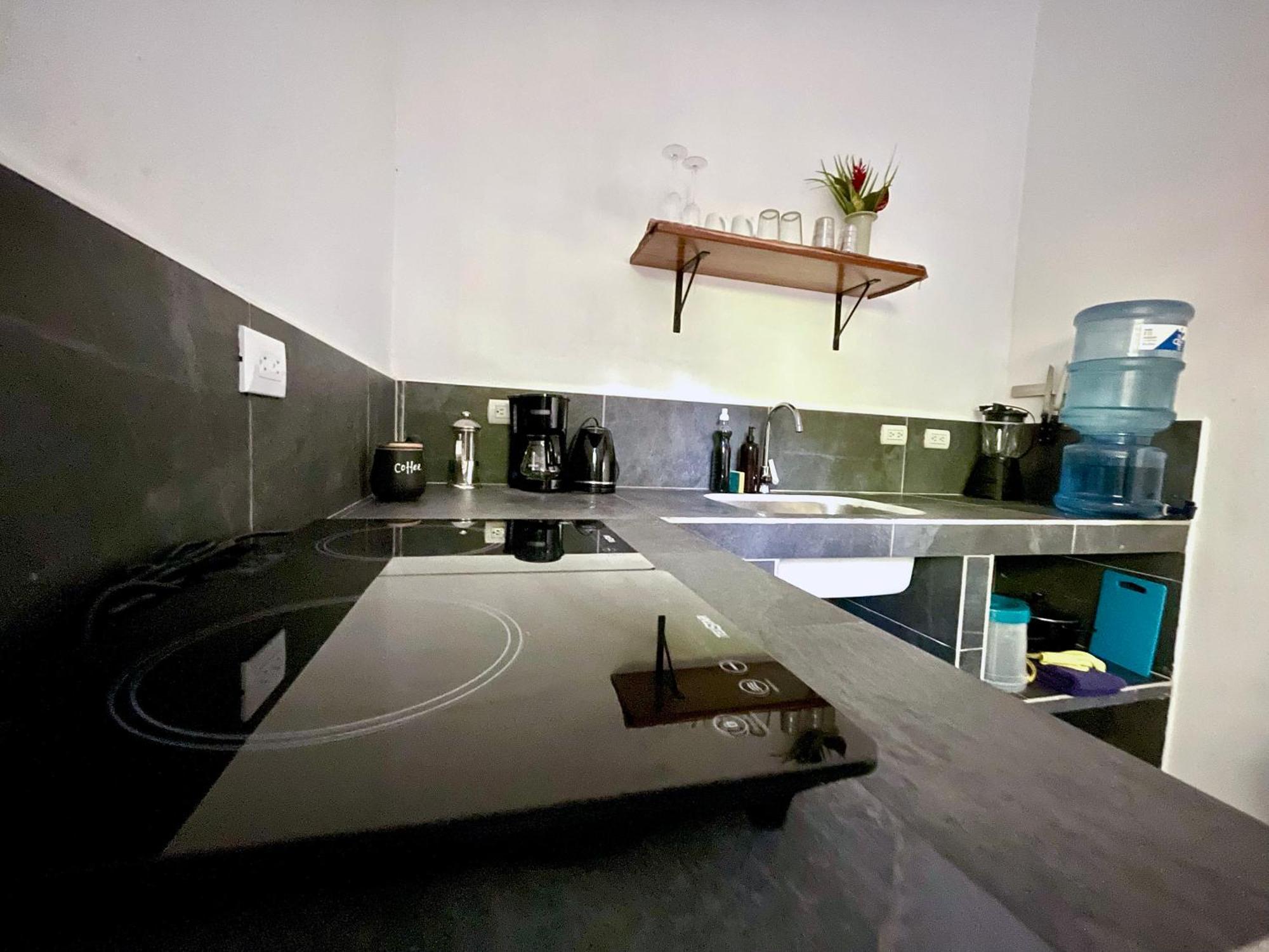 Casa Eden - Modern Peaceful Jungle Apartments Cocles Dış mekan fotoğraf