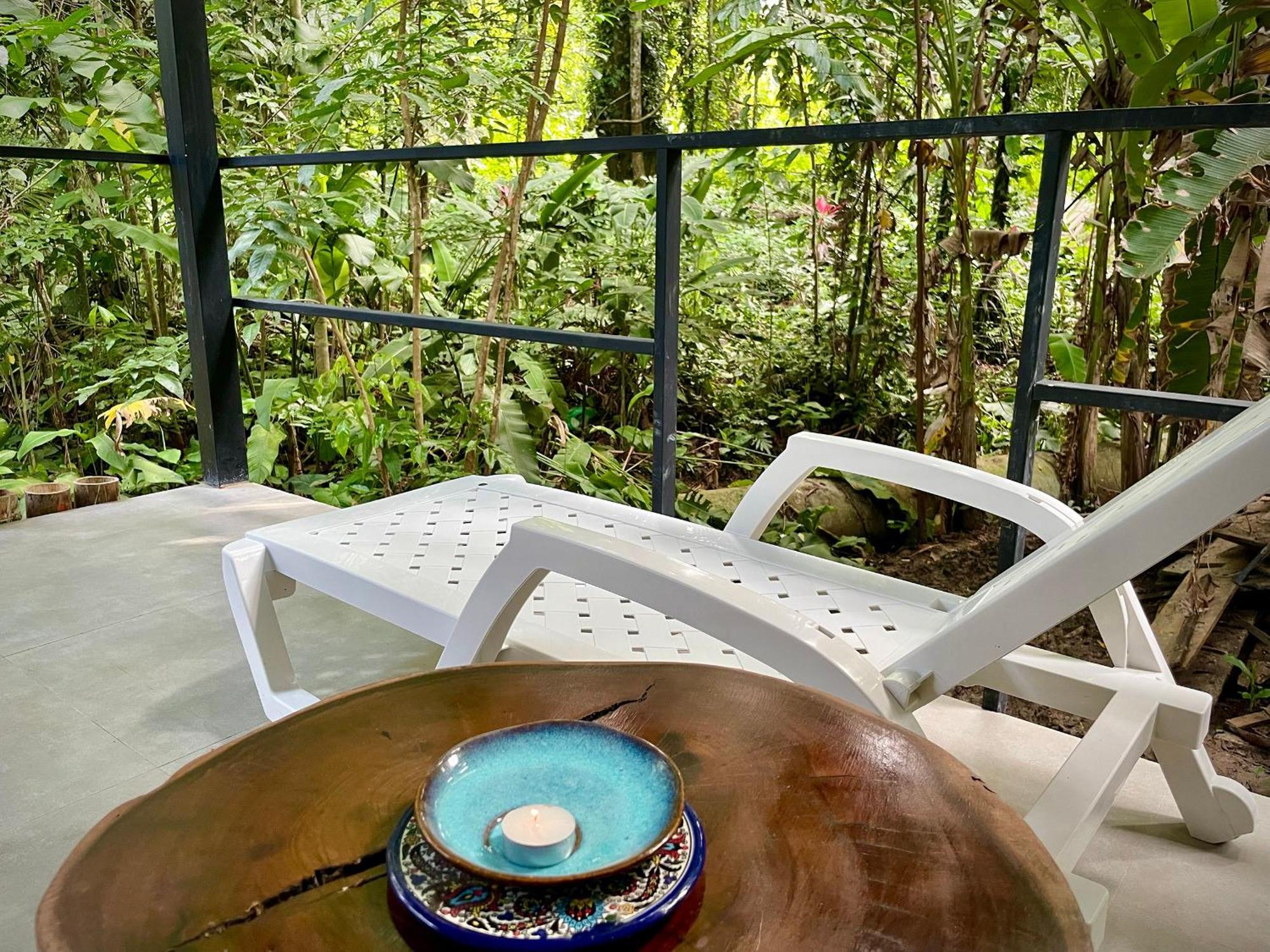 Casa Eden - Modern Peaceful Jungle Apartments Cocles Dış mekan fotoğraf