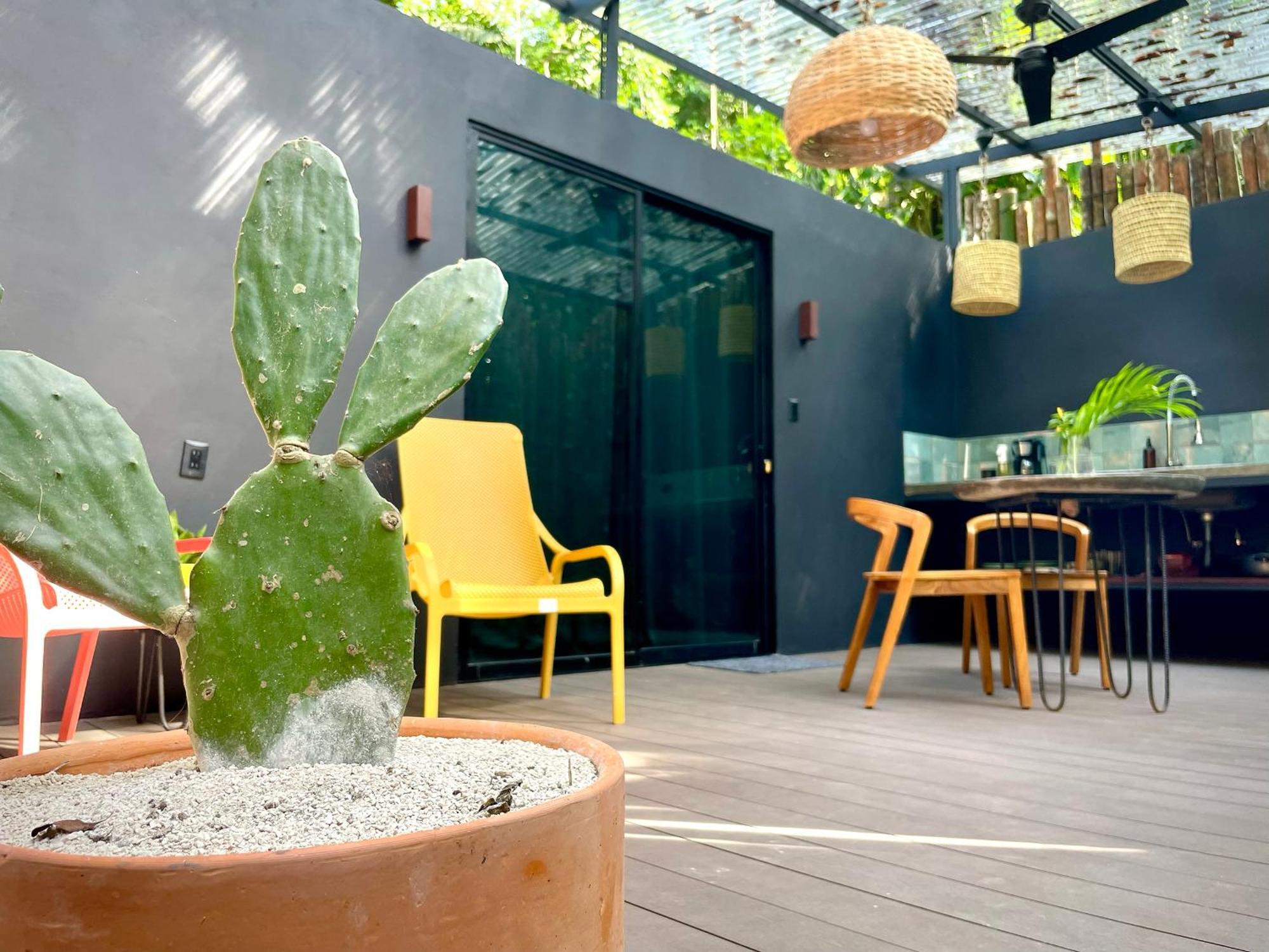 Casa Eden - Modern Peaceful Jungle Apartments Cocles Dış mekan fotoğraf