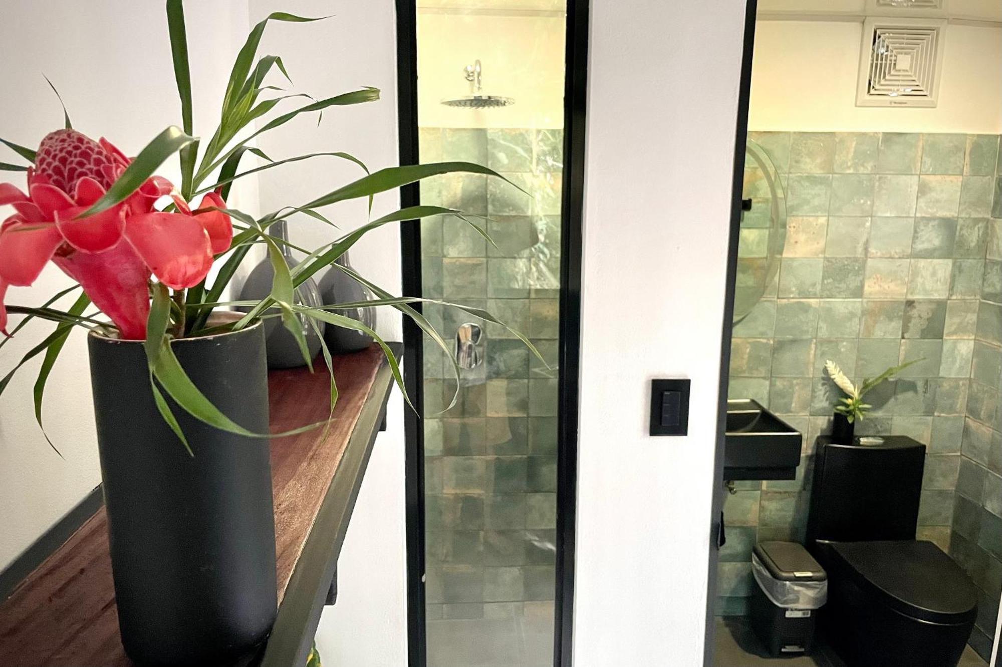 Casa Eden - Modern Peaceful Jungle Apartments Cocles Dış mekan fotoğraf